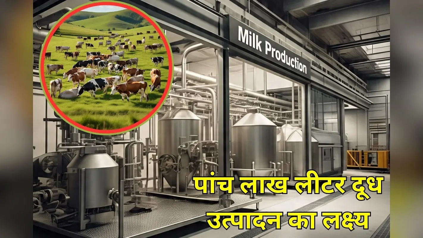 बिहार के इस पांच जिलों में खुलेंगे डेयरी प्लांट, 5 लाख लीटर दूध उत्पादन के लिए 317 करोड़ होंगे खर्च