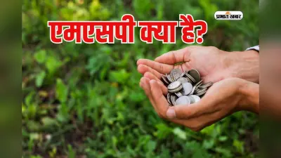 आधा भारत नहीं जानता क्या है एमएसपी, जान जाएगा तो हर किसानों के खातों में होंगे लाखों रुपये