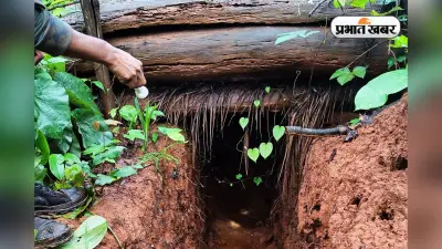 Naxal News: झारखंड में माओवादियों के 5 बंकर ध्वस्त, 2 आईईडी बरामद