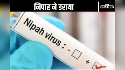 Nipah : निपाह का आतंक, दो दिन में दूसरी मौत, मचा हड़कंप, सरकार के उड़े होश