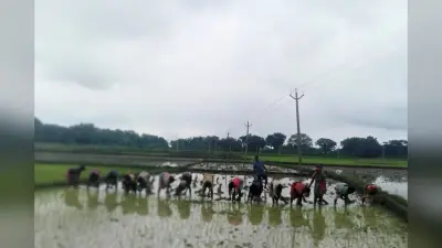 झारखंड के लोहरदगा में वज्रपात ने ली दो की जान, धनरोपनी के दौरान आसमान से बरसी मौत