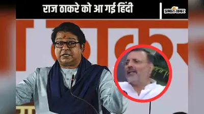 Video : ‘राज ठाकरे को हिंदी सिखा दी’, निशिकांत दुबे ने ली चुटकी