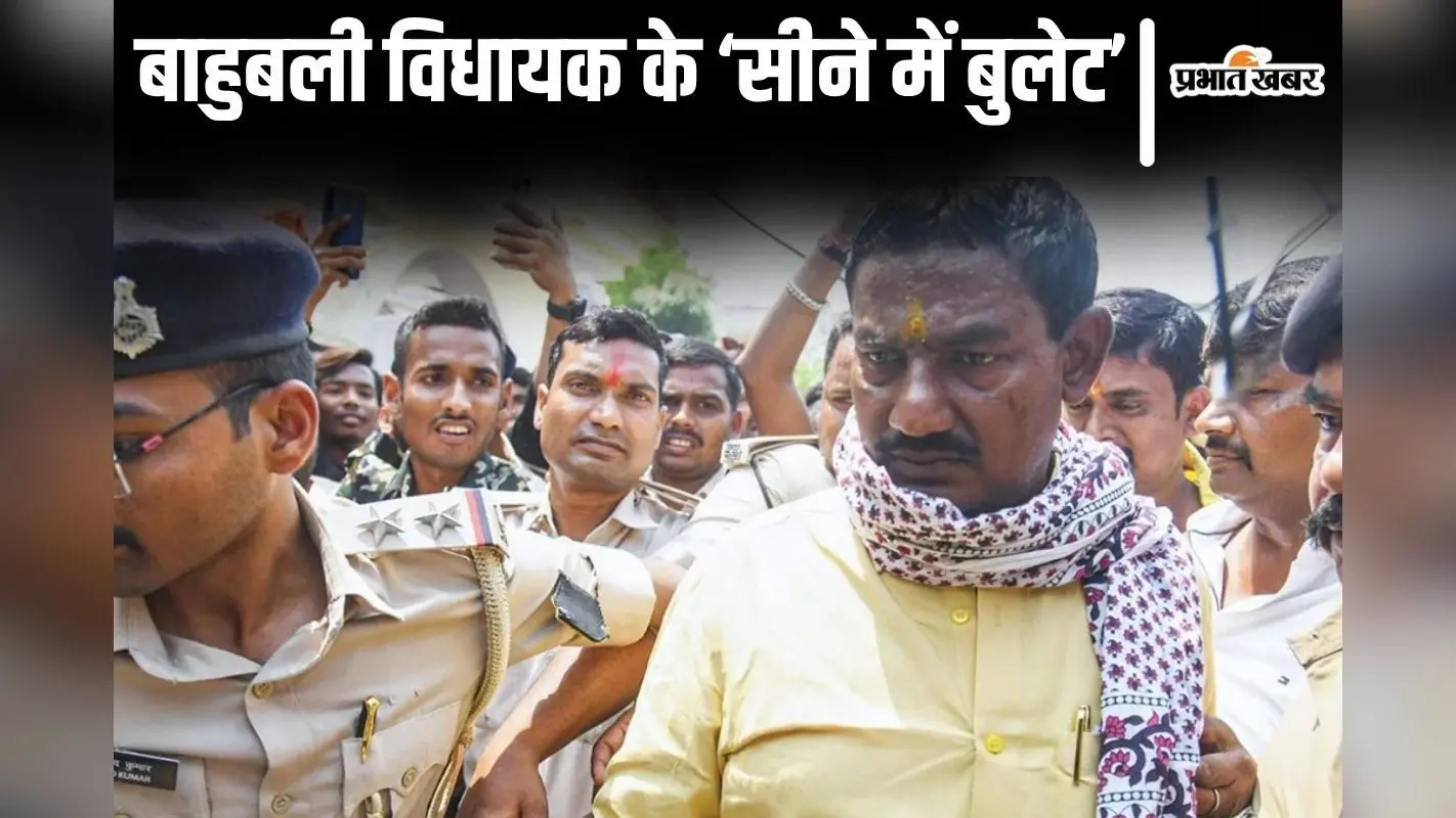 ‘पति को मारने की साजिश रची जा रही है’, विधायक रीतलाल यादव की पत्नी ने विधानसभाध्यक्ष से सुरक्षा की लगाई गुहार