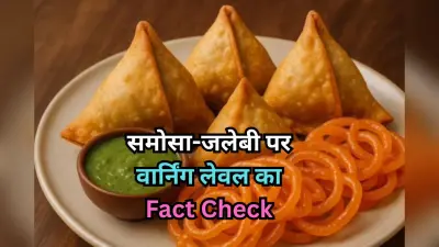 Fact Check: समोसा-जलेबी पर सिगरेट की तरह वार्निंग लेवल? जानें इस दावे का सच, सरकार ने कर दिया साफ