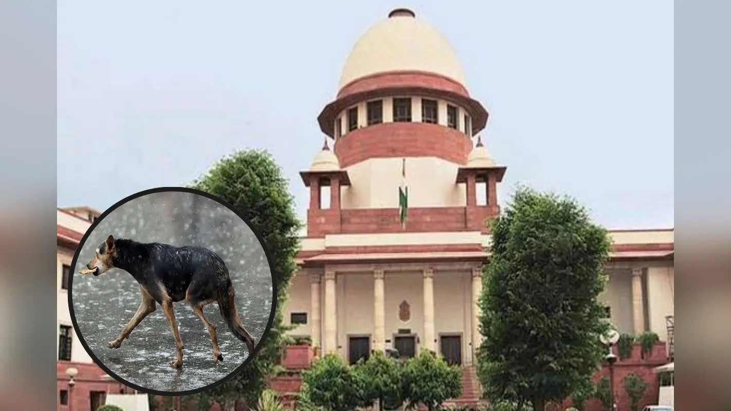 Supreme Court on Dog Bite Case: आवारा कुत्तों के आतंक पर सुप्रीम कोर्ट ने जताई चिंता, लिया स्वतः संज्ञान