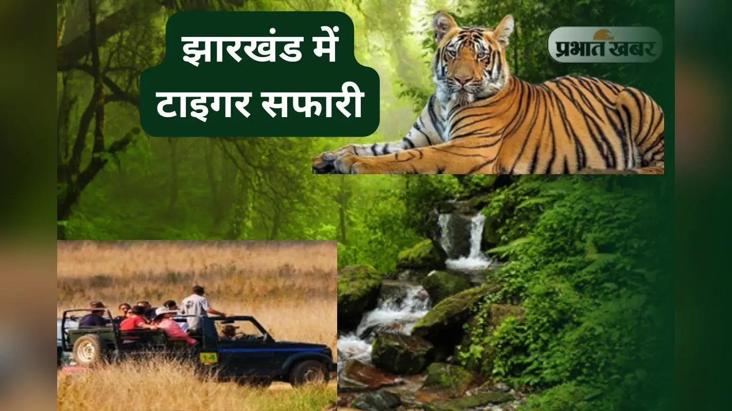 ‘राजगीर मॉडल’ पर पलामू में बनेगा झारखंड का पहला टाइगर सफारी