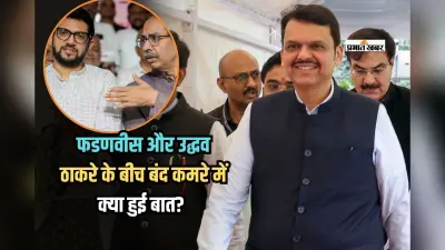 Maharashtra Politics: फडणवीस और उद्धव ठाकरे के बीच बंद कमरे में क्या हुई बात? सीएम ने दिया था साथ आने का ऑफर