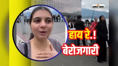 Unemployment News: कनाडा में जॉब संकट, Google नहीं छोटी कंपनी में भी नौकरी पाने की जंग, देखें Video