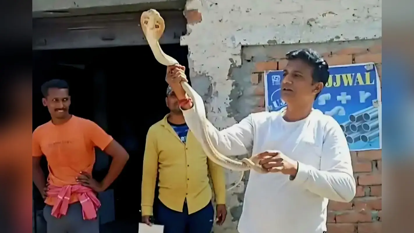 बिहार के फेमस ‘स्नेक मैन’ को वैशाली में कोबरा ने काटा, मौत का Live Video आया सामने