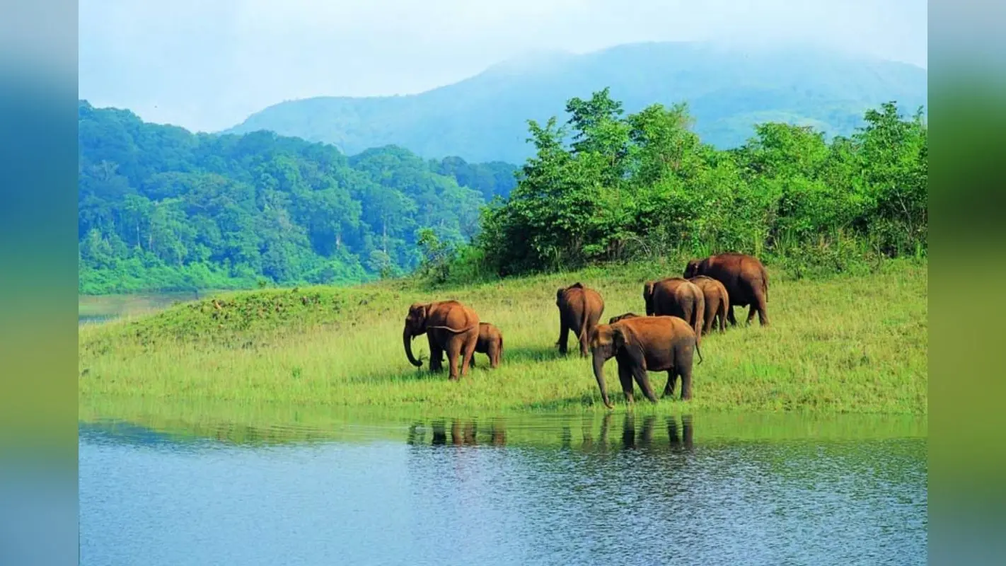 Tourist Places: CM नीतीश को बार-बार खींच लाती है बिहार की ये खूबसूरत जगह, जानिए उनकी खास पसंद की वजह…