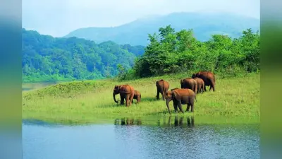 Tourist Places: CM नीतीश को बार-बार खींच लाती है बिहार की ये खूबसूरत जगह, जानिए उनकी खास पसंद की वजह…