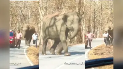 Viral Video: हाथी आया झूम कर, फिर खदेड़ कर की आदमियों की हालत पतली, वायरल हुआ वीडियो