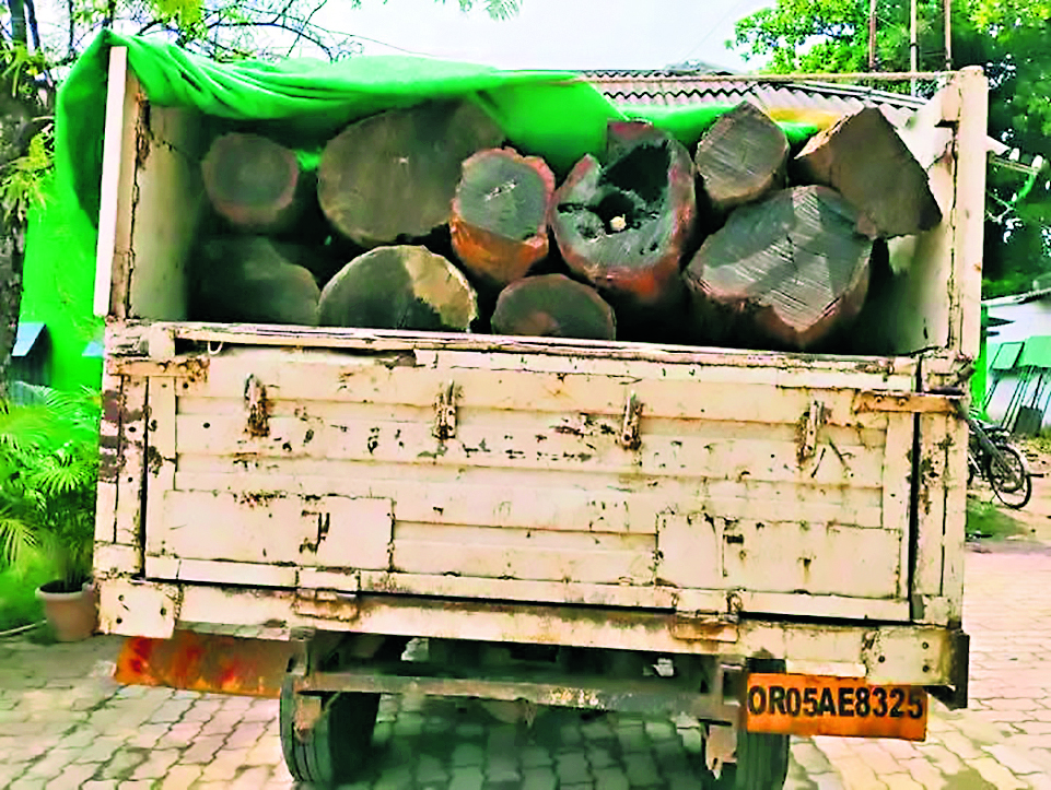 Sambalpur News : वन विभाग ने लकड़ी लदा वाहन को पकड़ा, सवा लाख की लकड़ी जब्त