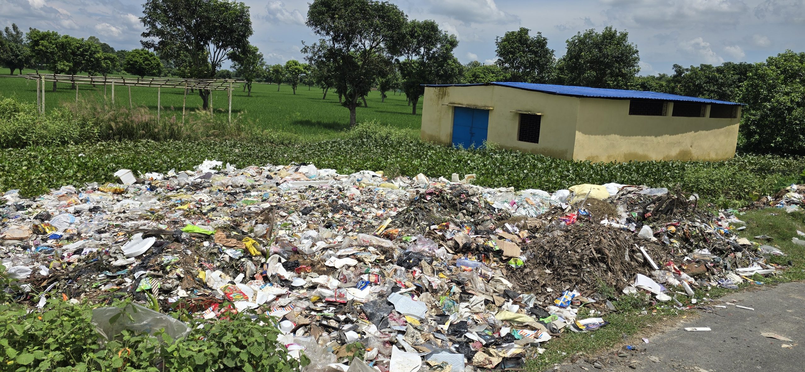 आजमनगर में लोहिया स्वच्छ बिहार अभियान की उड़ रही धज्जियां