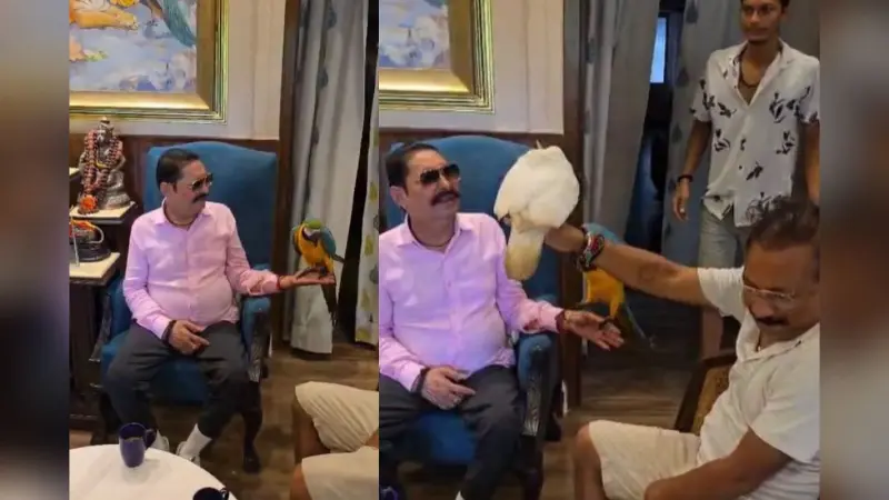 Video: ‘इ बोलता है ज्यादे…’ अनंत सिंह ने जब हाथ पर रखा तोता, मंत्री अशोक चौधरी के घर पहुंचे थे पूर्व विधायक