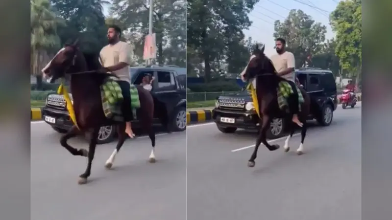 Video: बेटा कर रहा घोड़े की सवारी, पीछे चल रही अनंत सिंह की गाड़ी, वीडियो देखिए