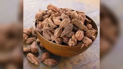 Health Tips: बड़े काम की है बड़ी इलायची, यह केवल मसाला ही नहीं, औषधि भी है