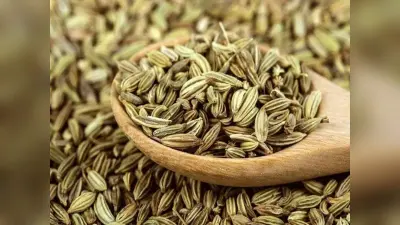 Health Tips: कमाल के गुण मौजूद हैं सौंफ में, जान जायेंगे तो रोज करेंगे इसका सेवन