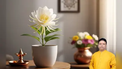 Vastu Tips: घर में शांति और सकारात्मक ऊर्जा के लिए लगाएं दिव्य ब्रह्मा कमल, ग्रह दोष निवारण में है कारगार