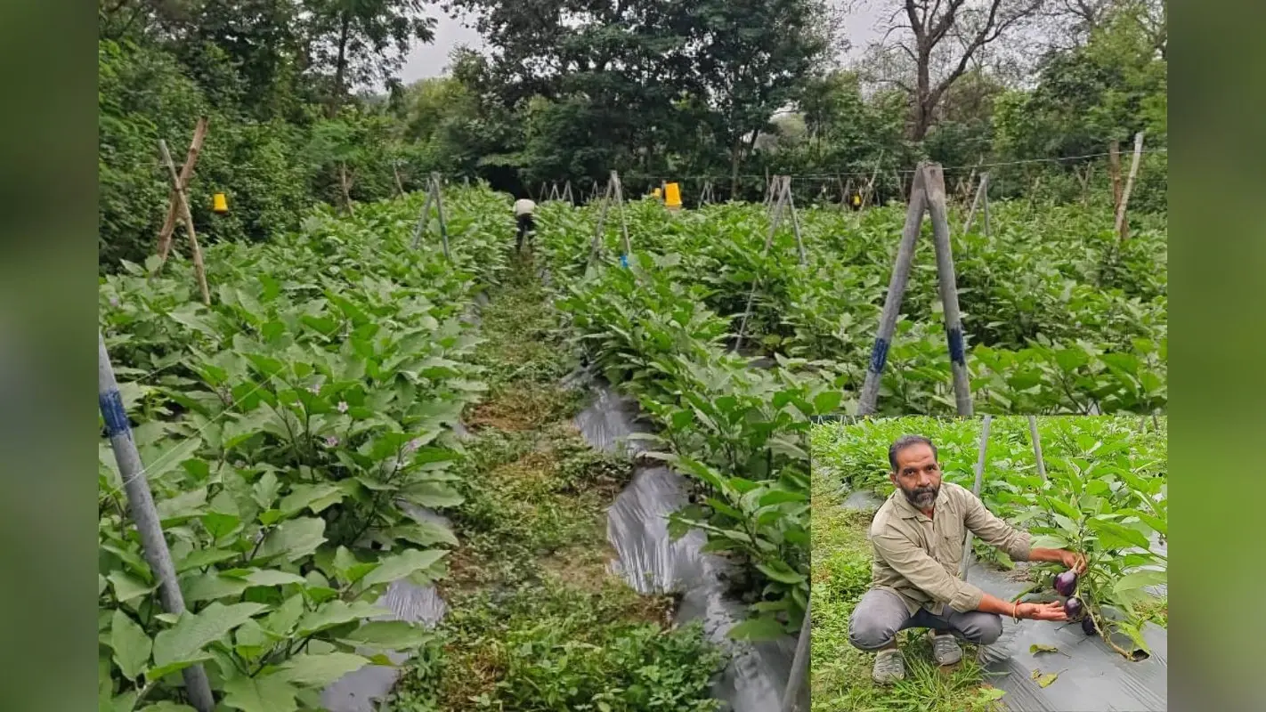 मुंबई में 10 साल तक की दिहाड़ी मजदूरी, सब्जी की जैविक खेती से झारखंड के किसान की ऐसे बदल गयी जिंदगी