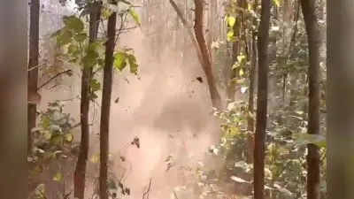 झारखंड के सारंडा में आईईडी ब्लास्ट की अब तक ग्रामीणों ने चुकायी है बड़ी कीमत, हाथियों की भी गयी है जान