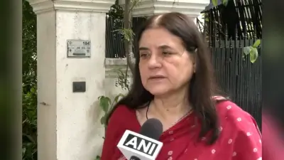 Stray Dogs: आवारा कुत्तों पर SC के फैसले से भड़कीं मेनका गांधी, CJI से समीक्षा करने की मांग की
