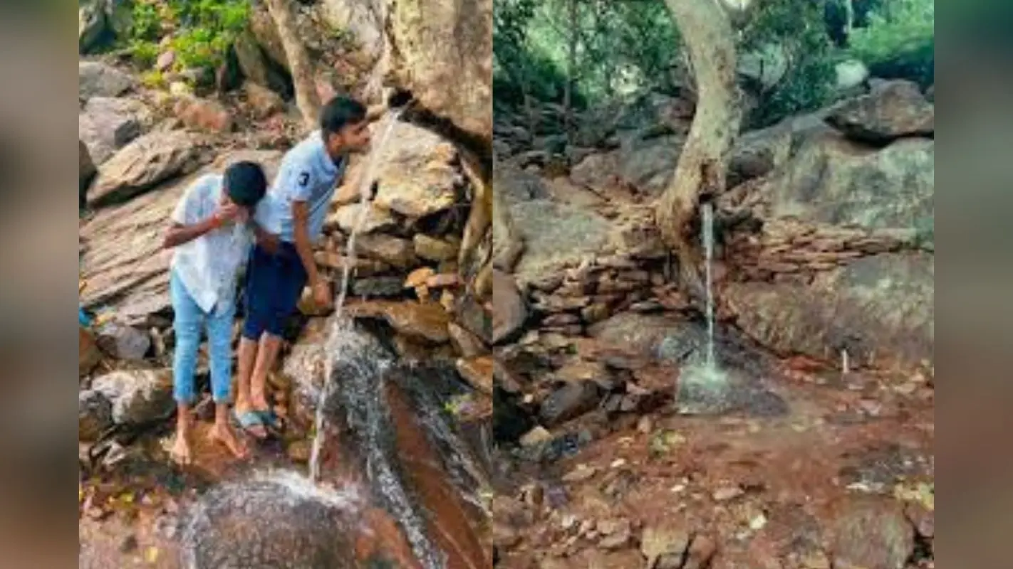 Mysterious Tree In Bihar: बिहार के इस जिले में पेड़ के तने से झर-झर गिरता है पानी, क्या है रहस्य? लोगों के लिए बना पिकनिक स्पॉट