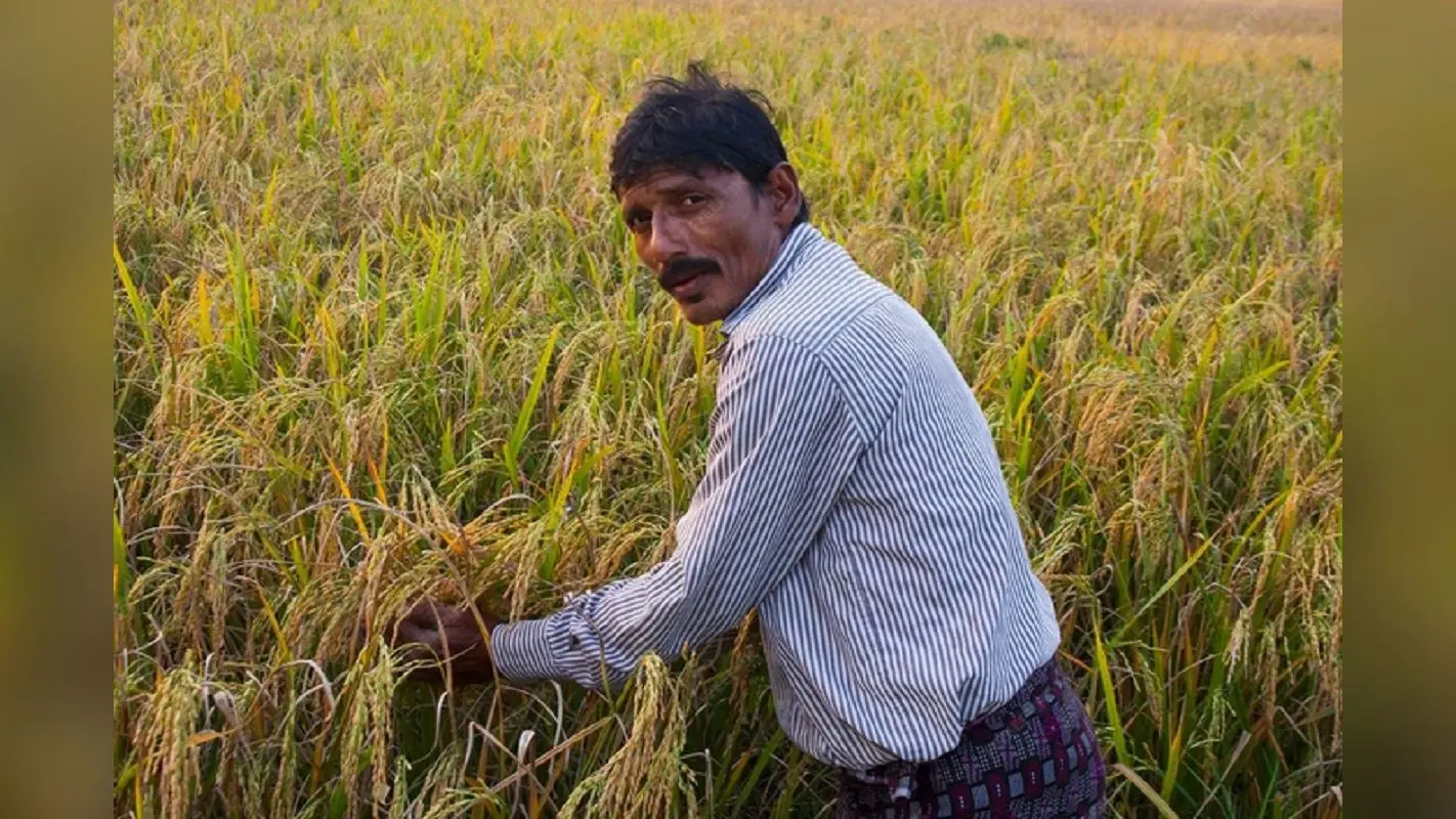 30 लाख किसानों के लिए जारी हो गया फसल बीमा का पैसा, चेक करें अकाउंट