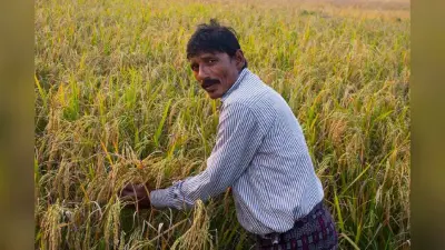 30 लाख किसानों के लिए जारी हो गया फसल बीमा का पैसा, चेक करें अकाउंट