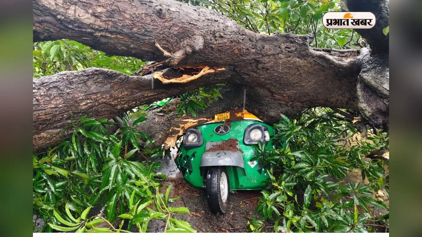 रांची में बड़ा हादसा! चलते ऑटो पर गिरा विशालकाय पेड़, चालक की मौत