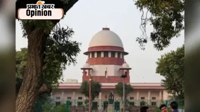 आवारा कुत्तों को नहीं भेजा जाएगा शेल्टर होम… सुप्रीम कोर्ट का बड़ा फैसला