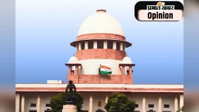 दिल्ली-NCR की सड़कों से हटेंगे रेबीज और हमला करने वाले कुत्ते, सुप्रीम कोर्ट के फैसले की 10 बड़ी बात