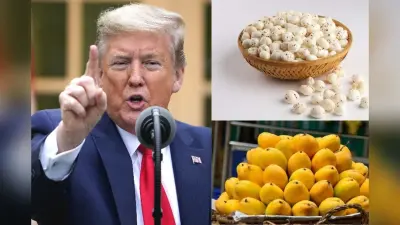 Trump Tarrif से बिहार के 250 करोड़ का कारोबार संकट में! मखाना-लीची समेत इन प्रोडक्ट्स पर पड़ेगा असर…