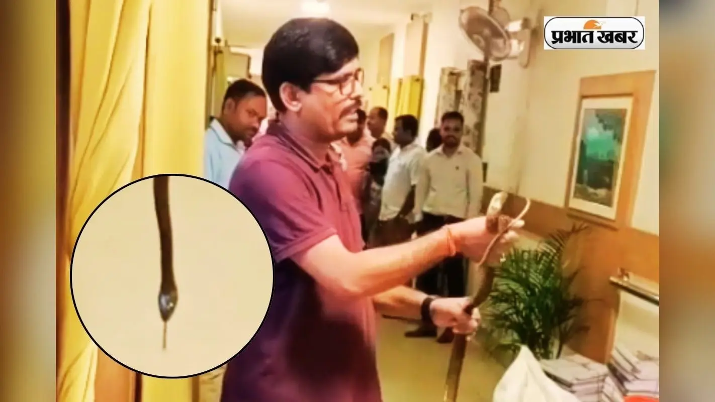 Viral Video: झारखंड सचिवालय में सांप, हलक में अटकी कर्मचारियों की सांसें, ऐसे आया पकड़ में