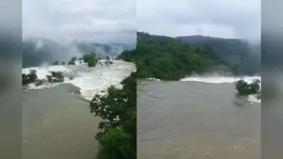 लगातार बारिश से निखरा जलप्रपातों का सौंदर्य, लेकिन जाने से पहले हो जाएं सावधान, भूलकर भी नहीं करें ये गलती