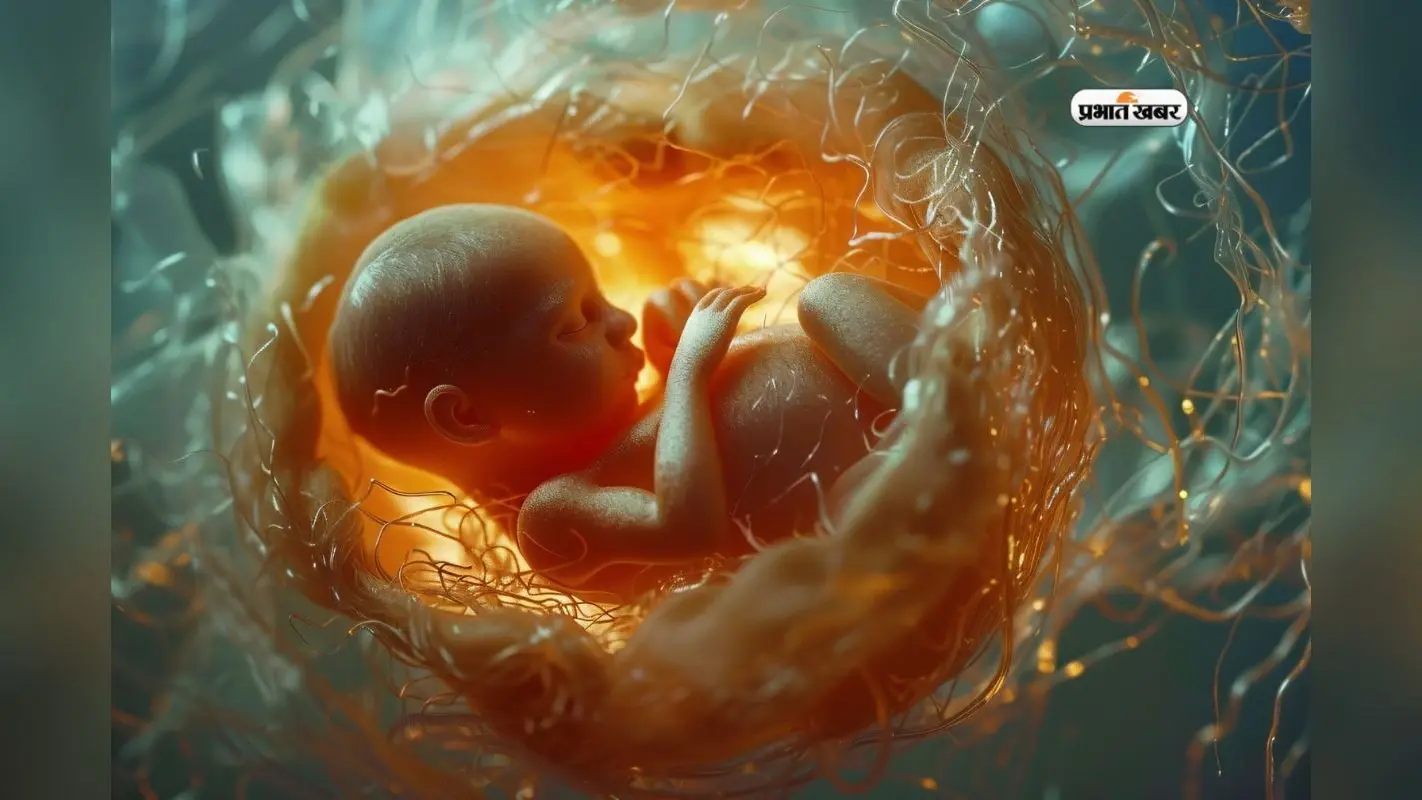World Oldest Child Born: 30 साल से फ्रीज हुए भ्रूण से जन्मा बच्चा, तोड़ा दुनिया का रिकॉर्ड