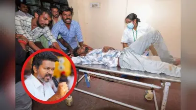 Actor Vijay Reaction on Stampede : दुख को शब्दों में व्यक्त नहीं कर सकता, करूर भगदड़ पर एक्टर विजय का फर्स्ट रिएक्शन
