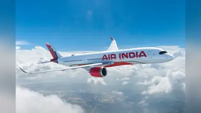 Air India: एयर इंडिया के विमान में हड़कंप, यात्री ने की कॉकपिट में घुसने की कोशिश, हो रही मामले की जांच