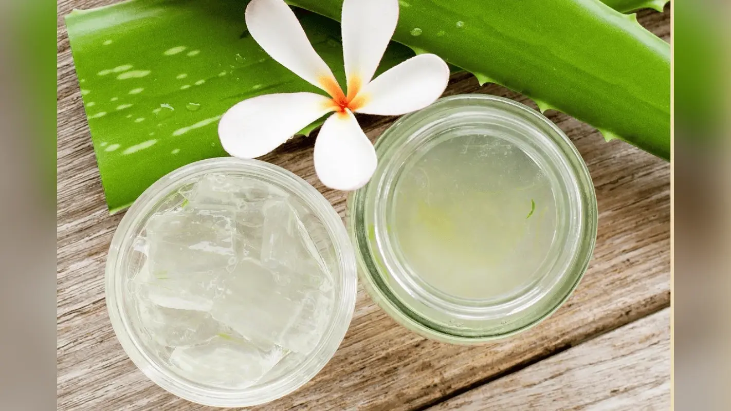 Benefits of Aloe vera Gel: हेल्दी स्किन के लिए जरूरी है एलोवेरा जेल