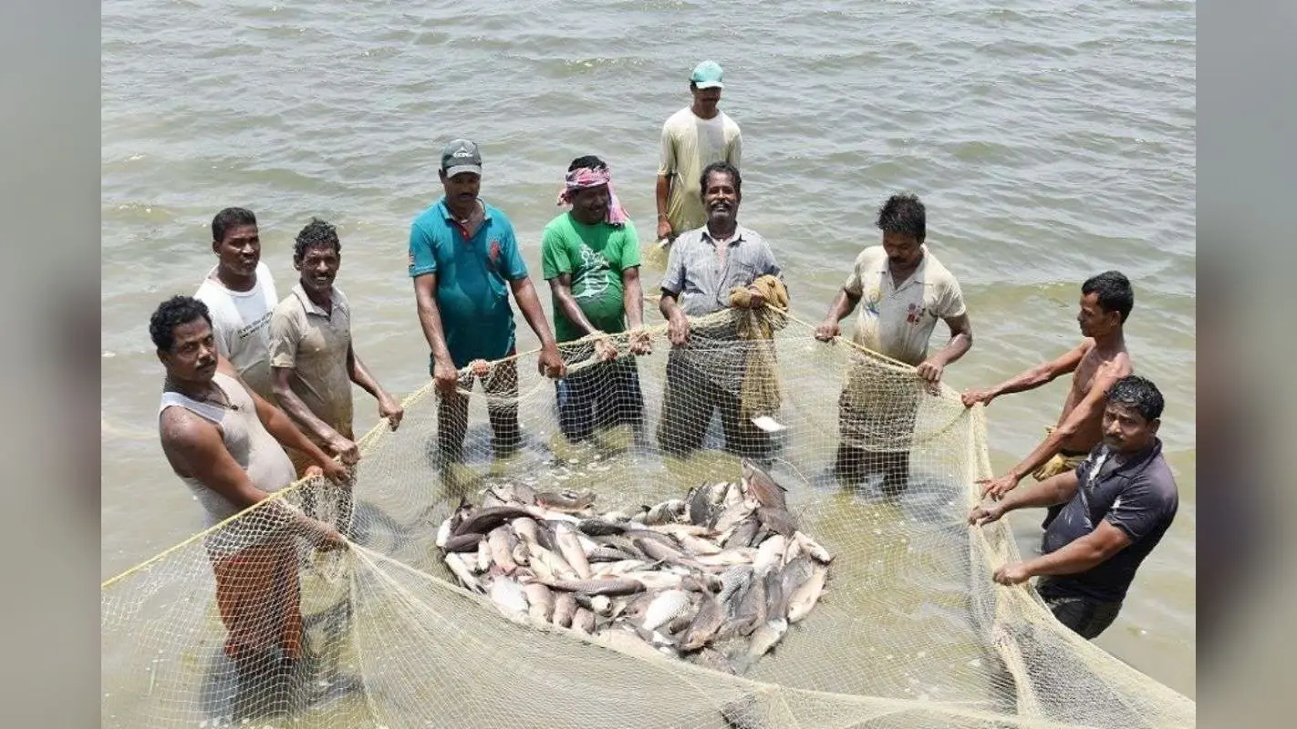 Bihar Fish Farming: बिहार में मछुआरों की हो गई बल्ले-बल्ले, सरकार इसकी खरीद पर देगी 90 प्रतिशत तक सब्सिडी