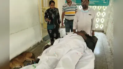 Crime News: अपराधियों के हौसले बुलंद! बोकारो में ट्रैक्टर चालक पर दिनदहाड़े बरसायी गोलियां