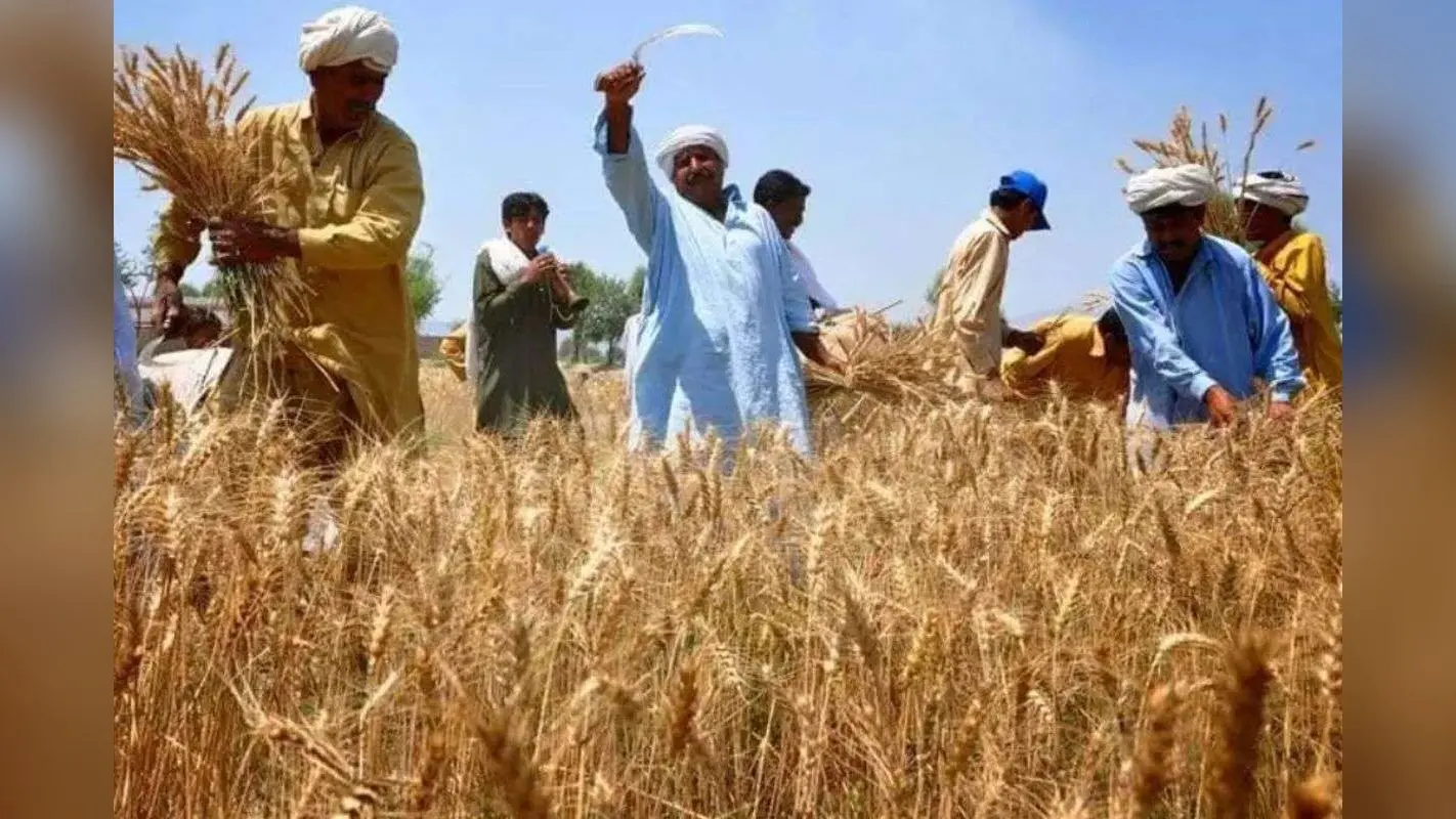 Bihar News: इस योजना के लिए दरभंगा का हुआ चयन, किसानों को मिलेंगी ये सुविधाएं