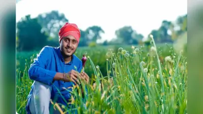 Farmers Income: किसानों की बढ़ेगी अब कमाई, सरकार ने किया तगड़ा इंतजाम