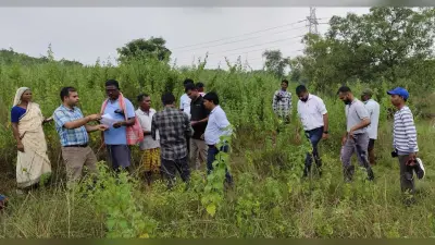 East Singhbhum News : जहरीले पानी से बर्बाद धान के खेतों की फिर से हुई जांच