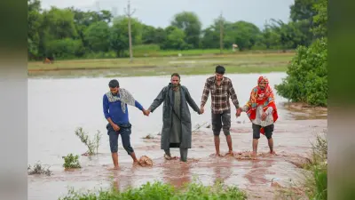 Heavy Rain Alert Rajasthan: राजस्थान में मानसून एक्टिव, जारी रहेगा बारिश का दौर, इन इलाकों में अलर्ट