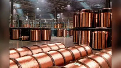 Hindustan Copper Share Price: तांबे की मार, शेयरों में बहार! हिंदुस्तान कॉपर ने मारी तेज छलांग