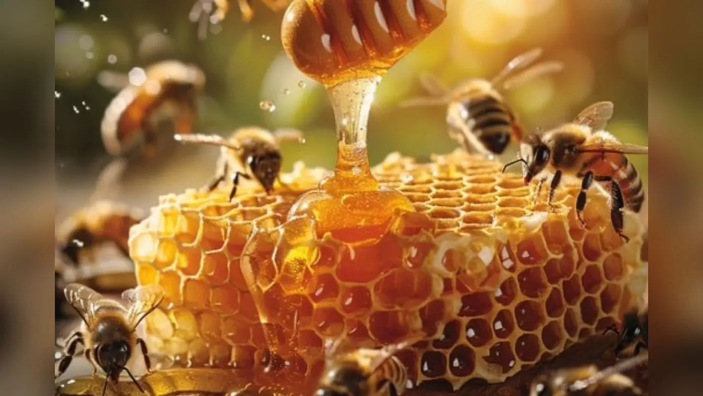 Honey Production In Bihar: शहद उत्पादन में बिहार का दिखा कमाल, देशभर में मिला चौथा स्थान