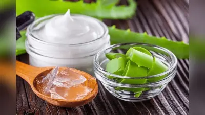 3 Easy Ways to Preserve Aloe vera Gel: इन तरीकों से करें ऐलोवेरा को स्टोर हफ्तों तक रहेगा फ्रेश