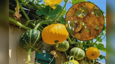 Kaddu Sabji Recipe: जीतिया पर बनाएं खट्टी मीठी कद्दू की सब्जी