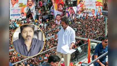 Karur Stampede: ‘मेरे साथ जो करना है करो’, करूर भगदड़ पर विजय की पहली प्रतिक्रिया, कहा- जल्द सामने आएगी सच्चाई